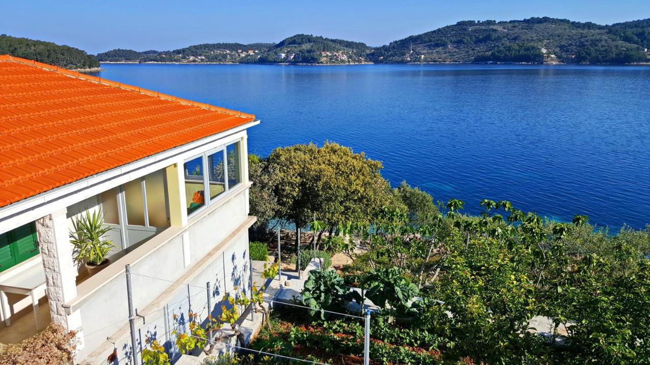 Holiday Home Katica Vela Luka Ngoại thất bức ảnh